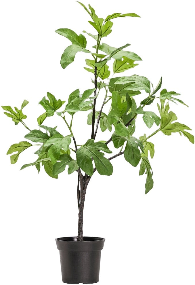 Artificial Plant, Hdfig, Green