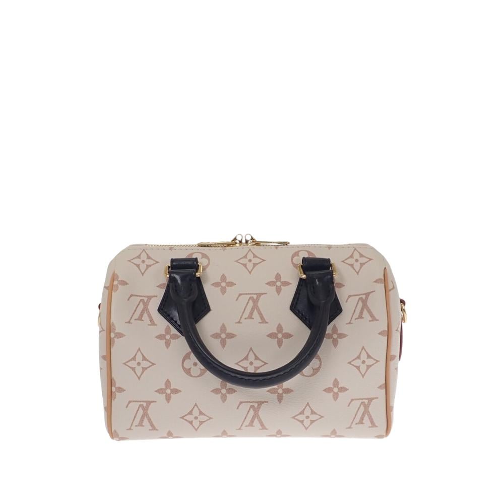 Louis Vuitton Speedy