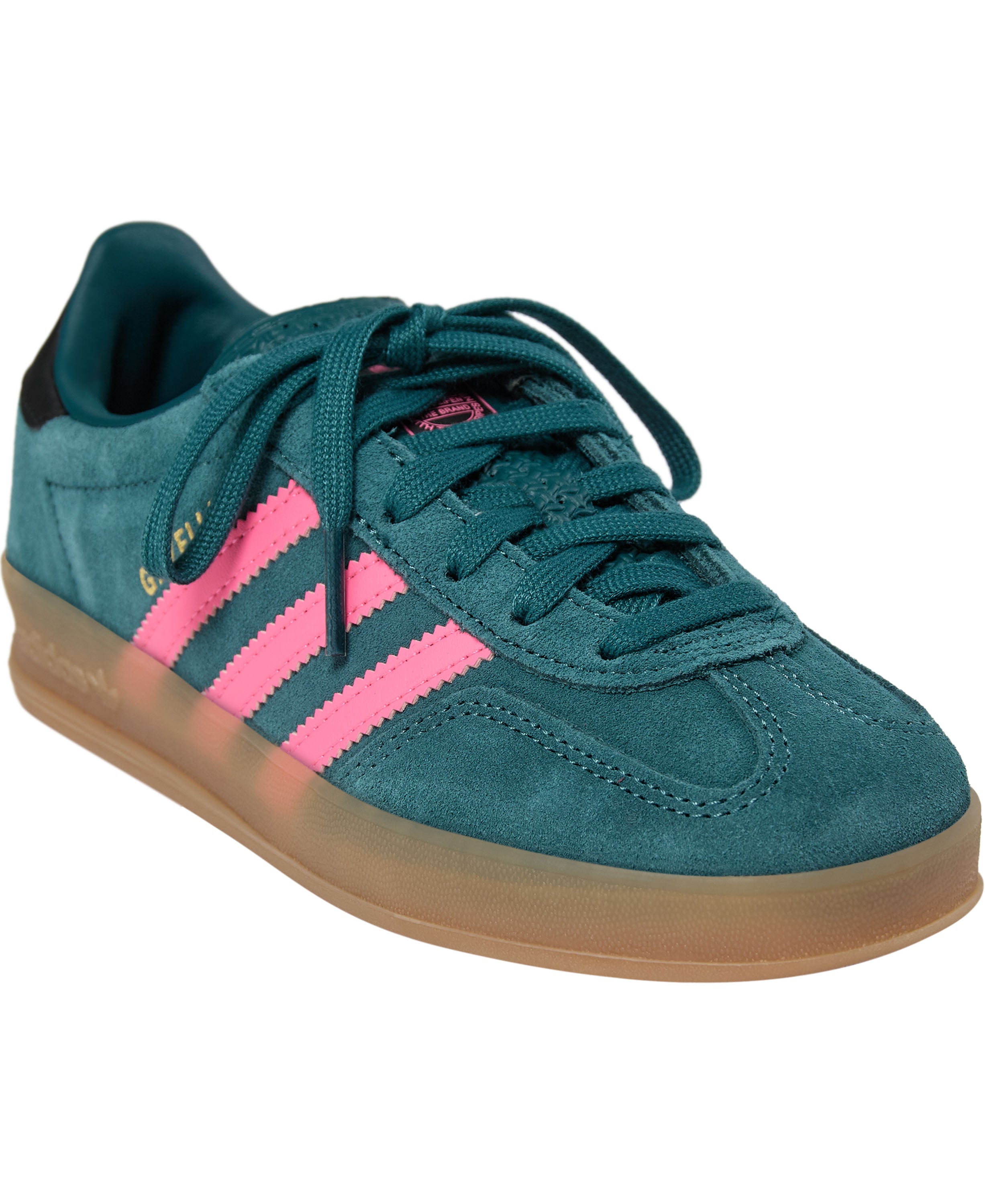 Gazelle Indoor C