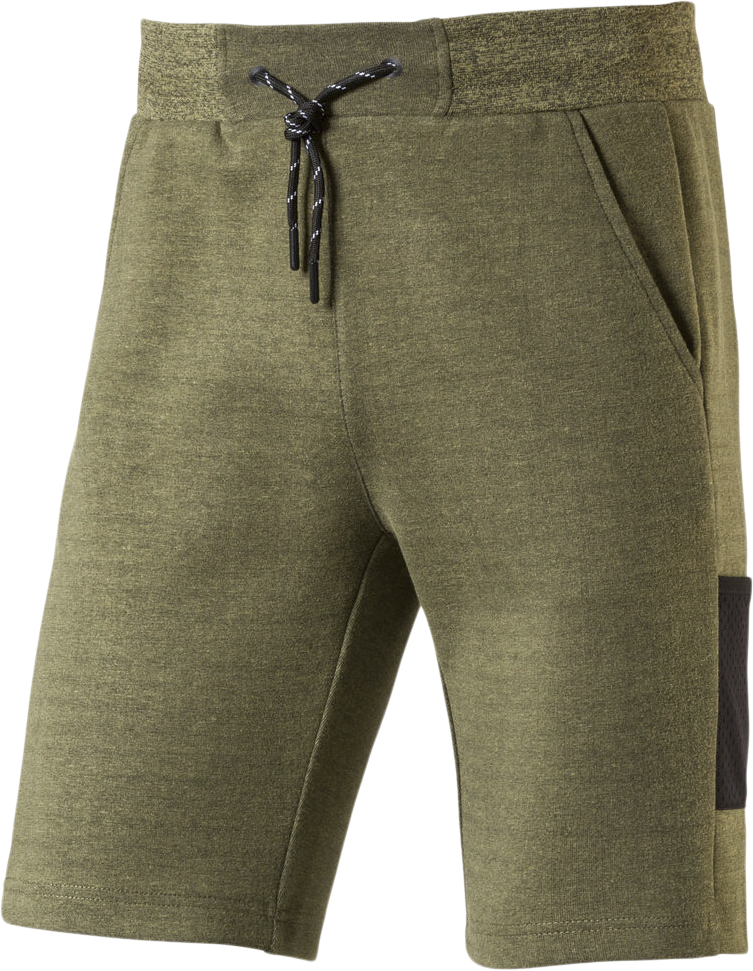 Annecy X Shorts