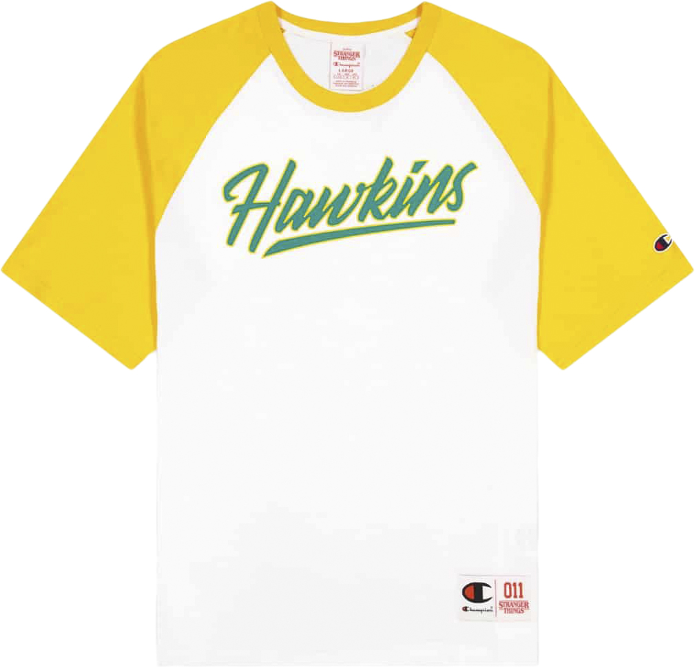 Champion X Stranger Things Hawkins Raglan Tshirt
