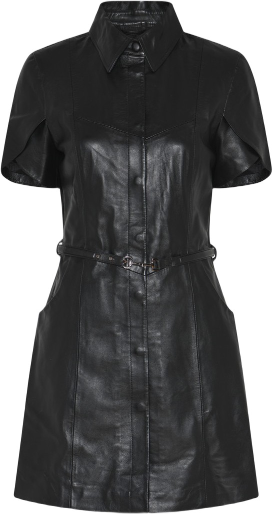 Softbbzendianna Leather Dress