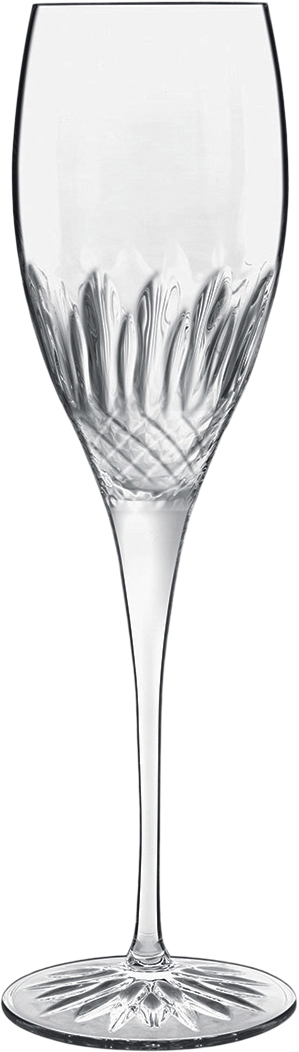 Diamante 4 stk. Champagneglas Klar 22 cl Ø7cm H23,