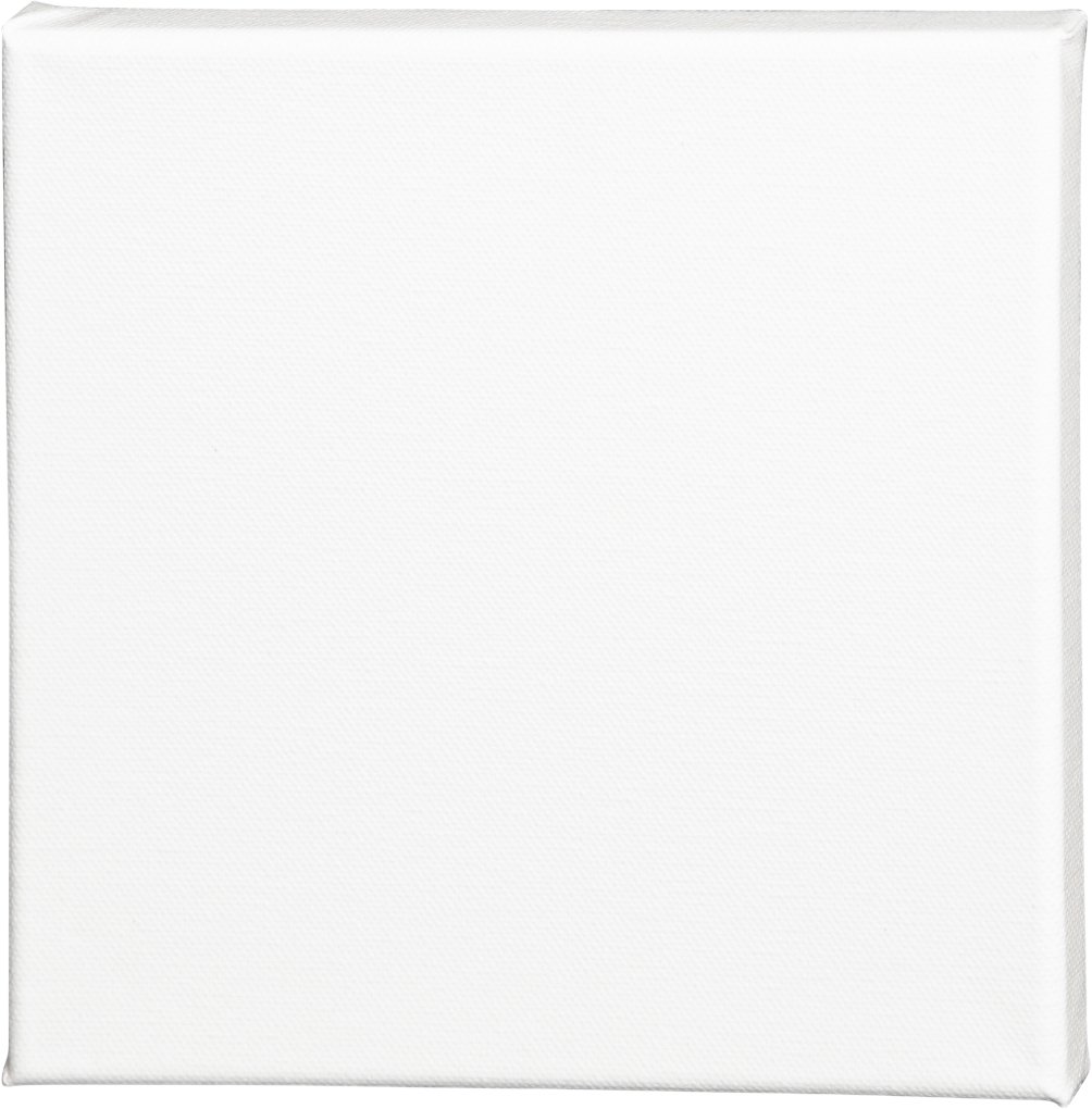 Artistline Canvas : Str 20x20