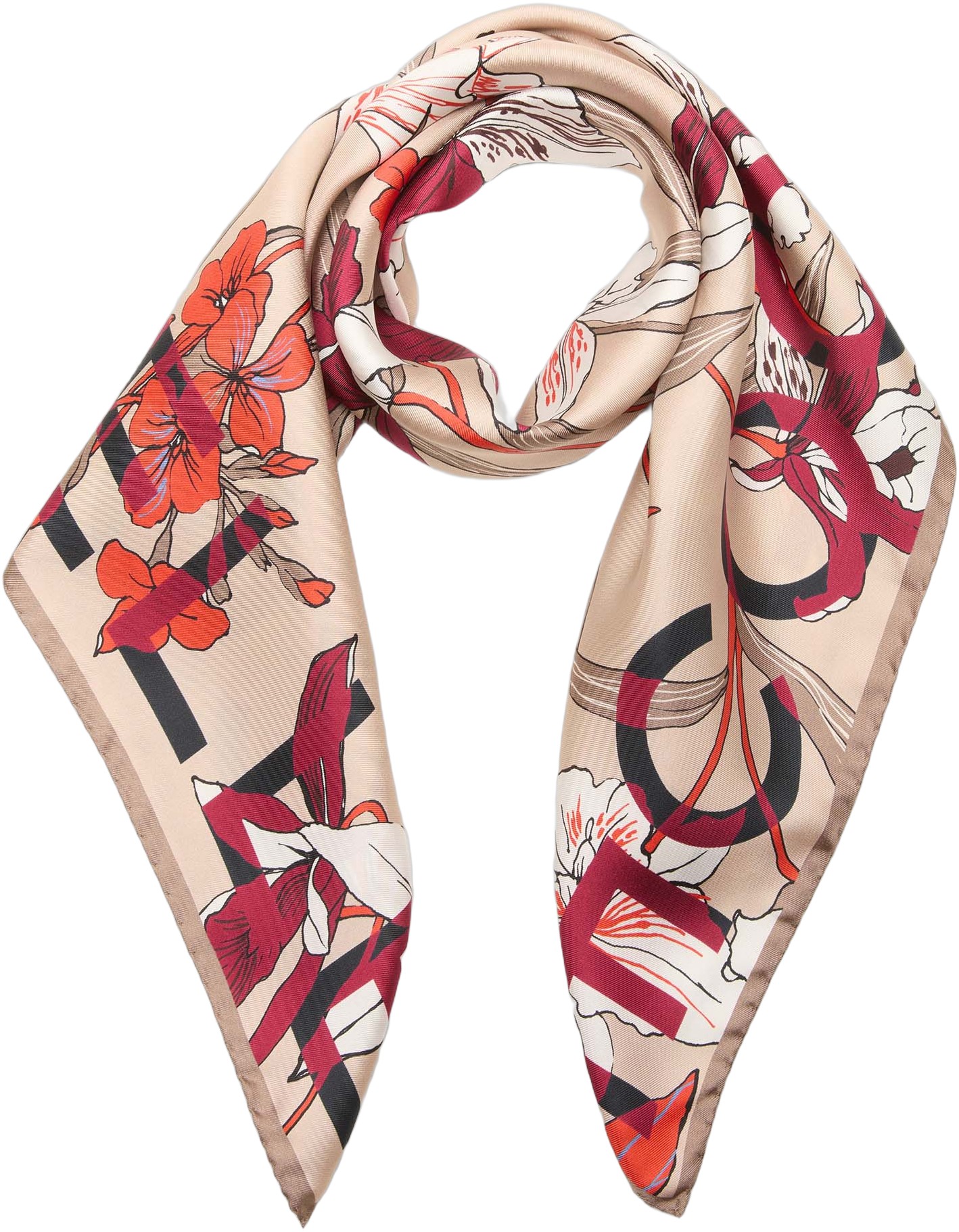 Coccinellejardin DE Flore