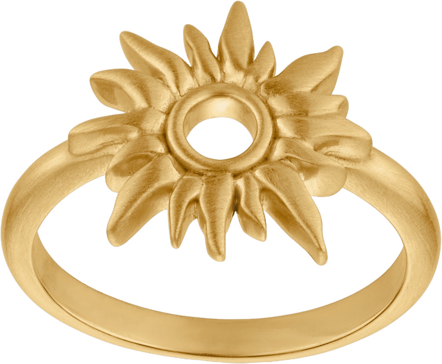 Sun Wild Ringgp