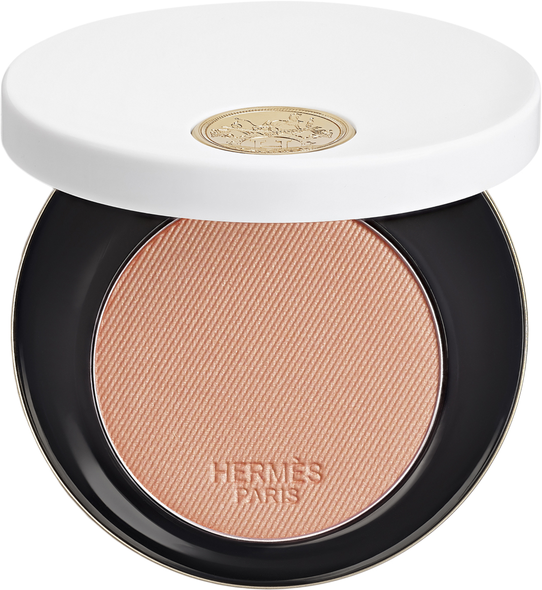 Rose HermÃ¨s Silky Blush Powder
