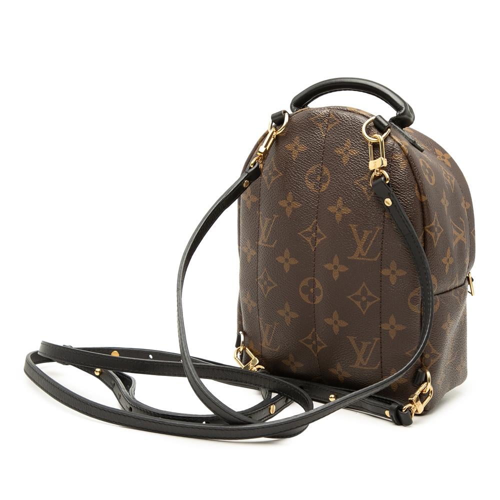 Louis Vuitton Palm Springs