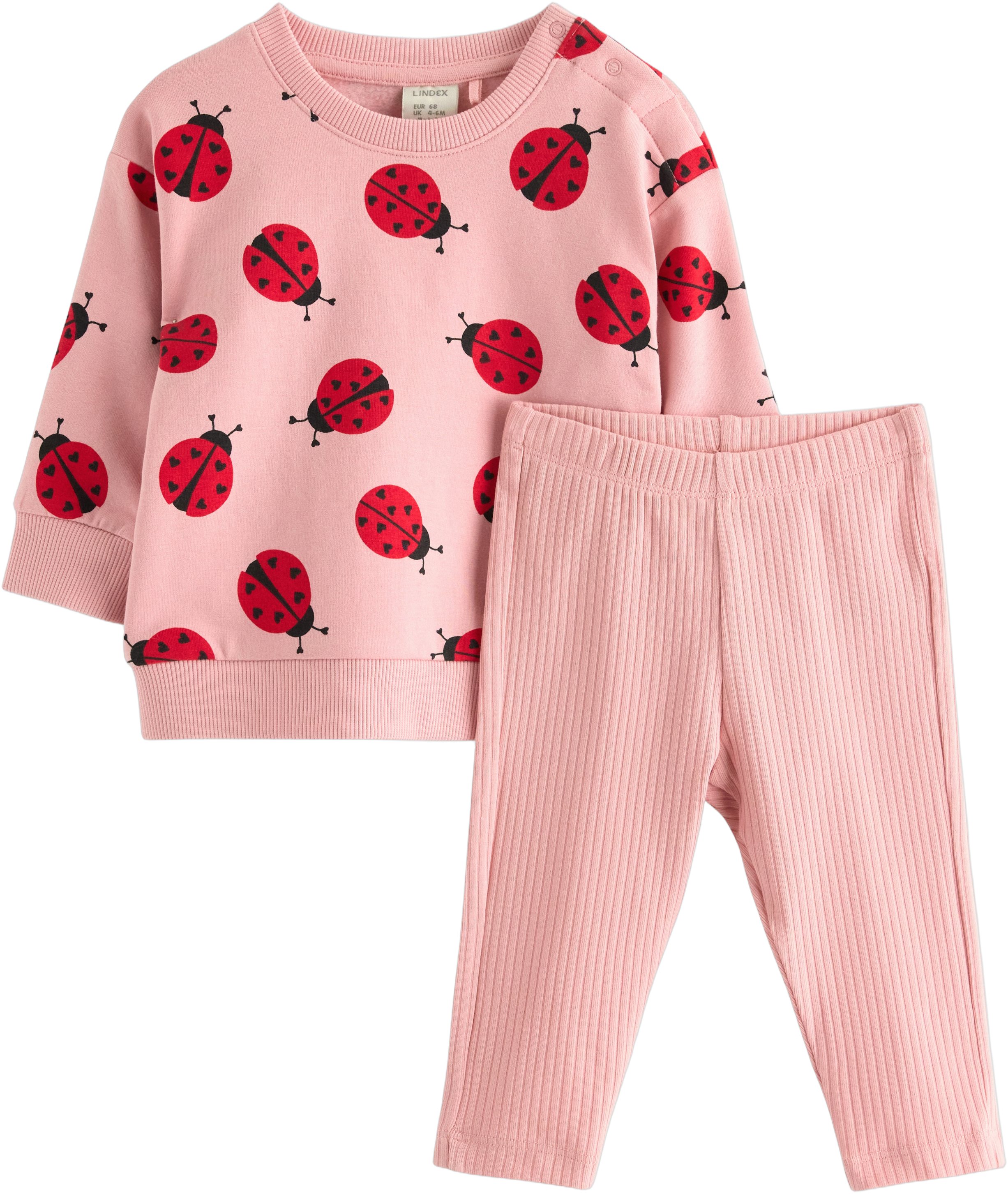 2piece set With a Sweatshirt With