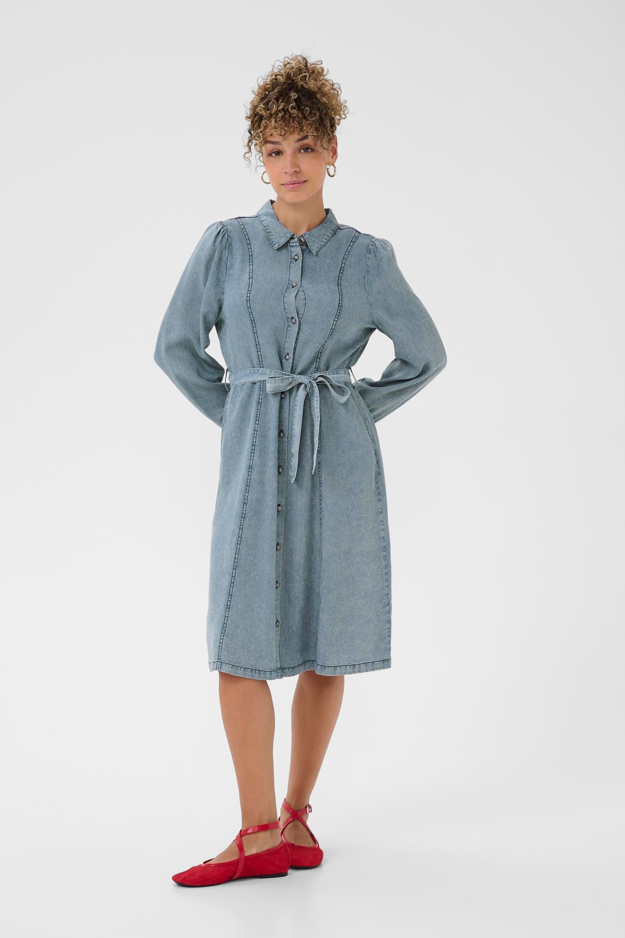 Crellie Denim Dress