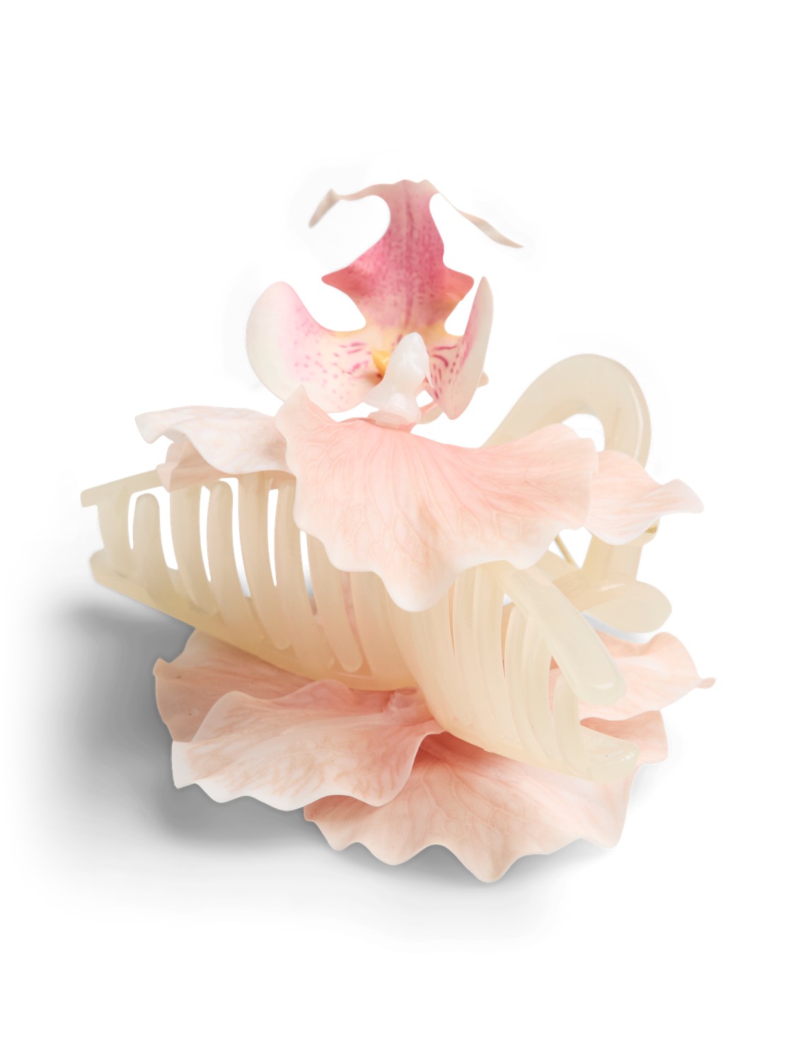 Pckirgiti A Hairshark