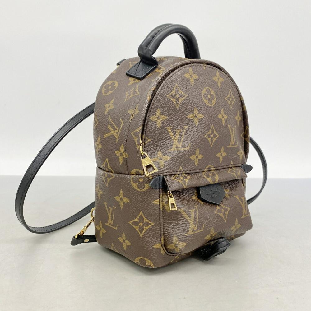 Louis Vuitton Palm Springs