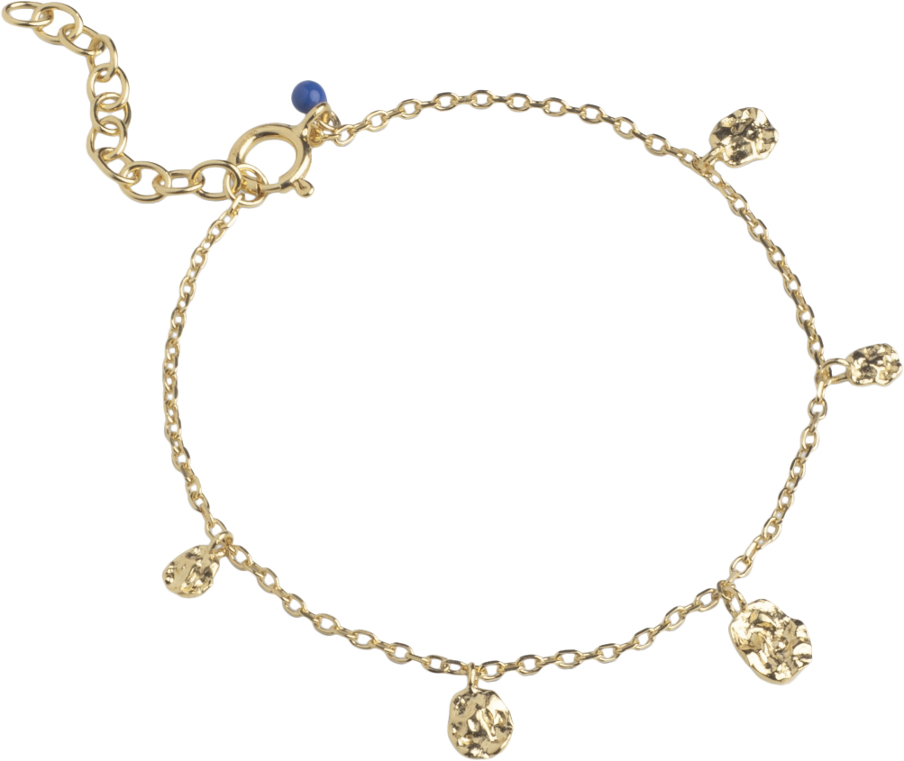 Bracelet, Refined Charms