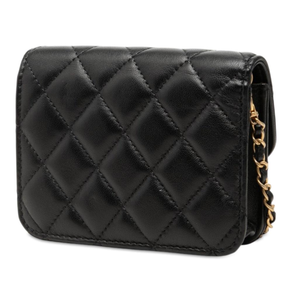 Chanel Flap Bag