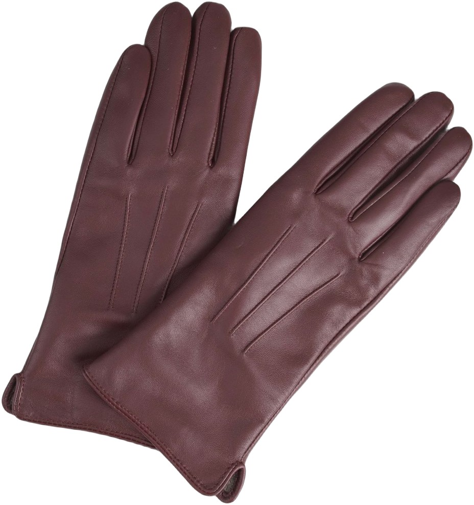 Cariannambg Glove