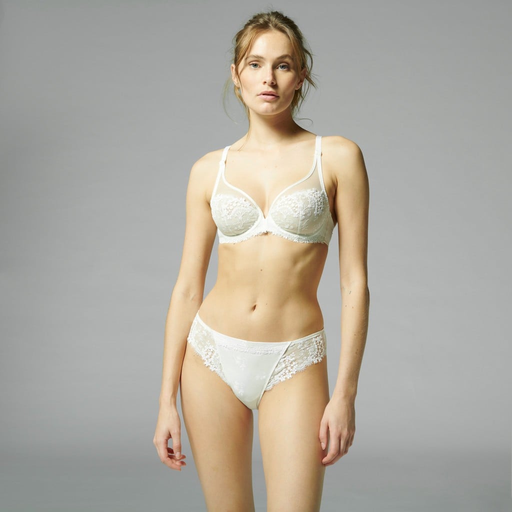 Wish Brief