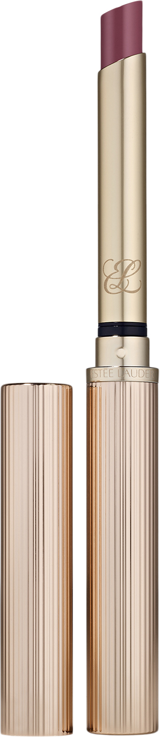 Pure Color Explicit Slick Shine Lipstick