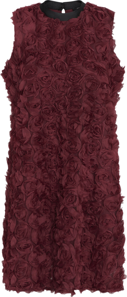 Billede af Clarkiasbbchi Dress