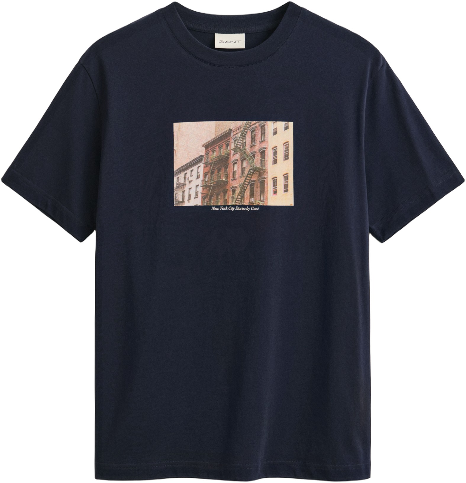 Graphic SS Tshirt