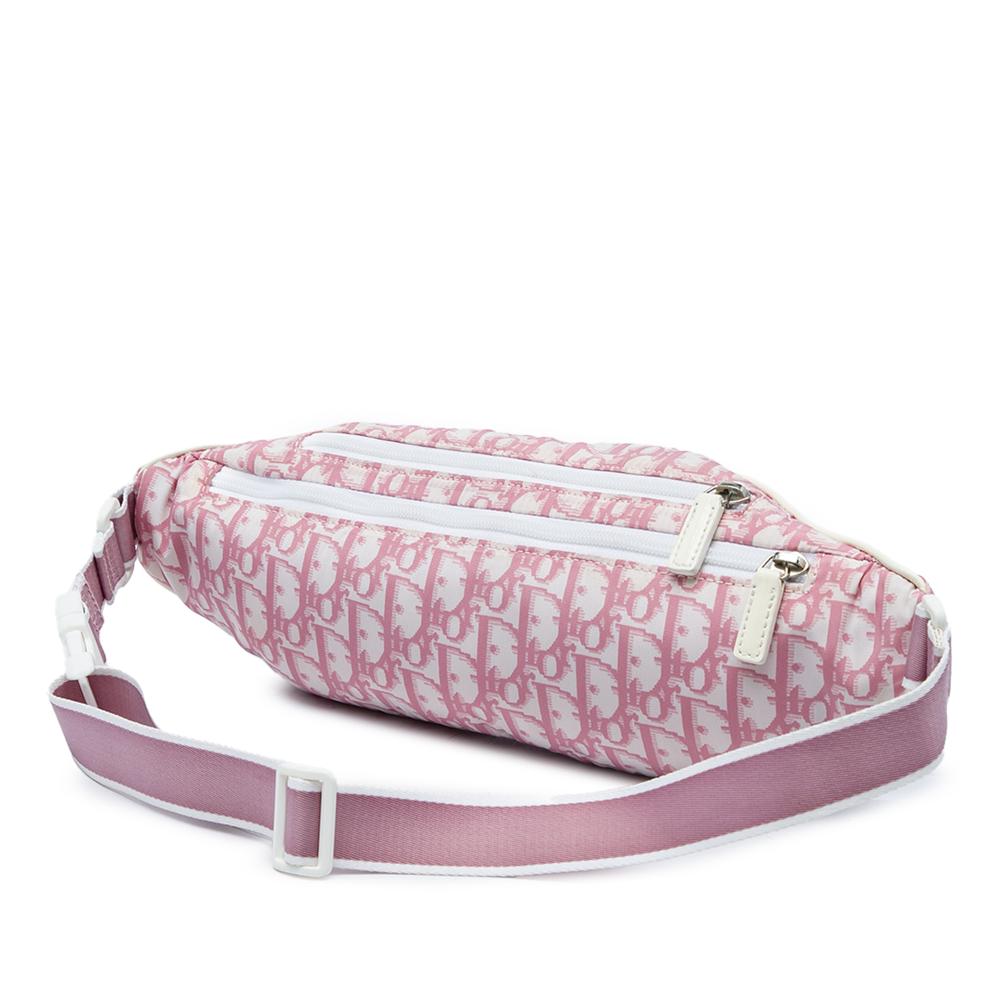 Dior Belt Bag