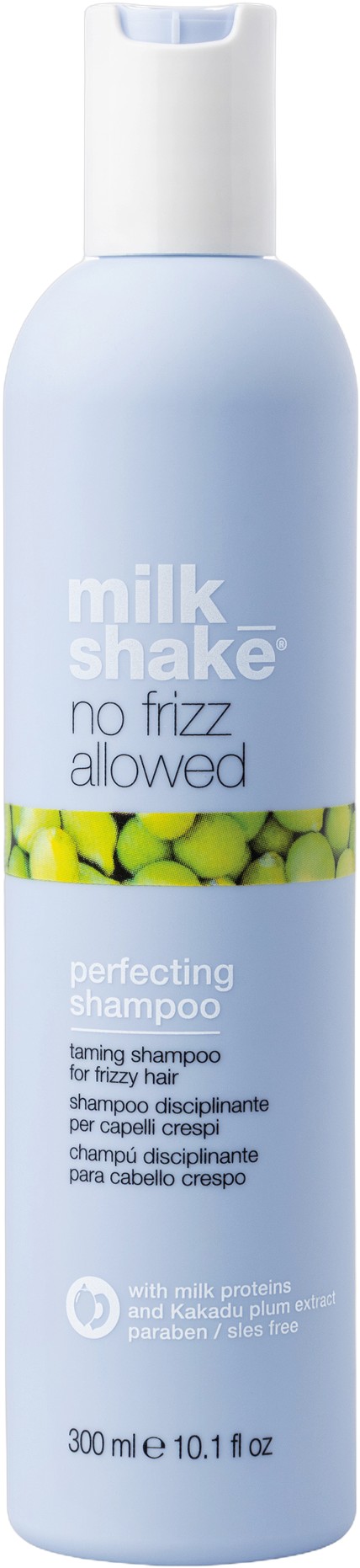 No Frizz Allowed Shampoo