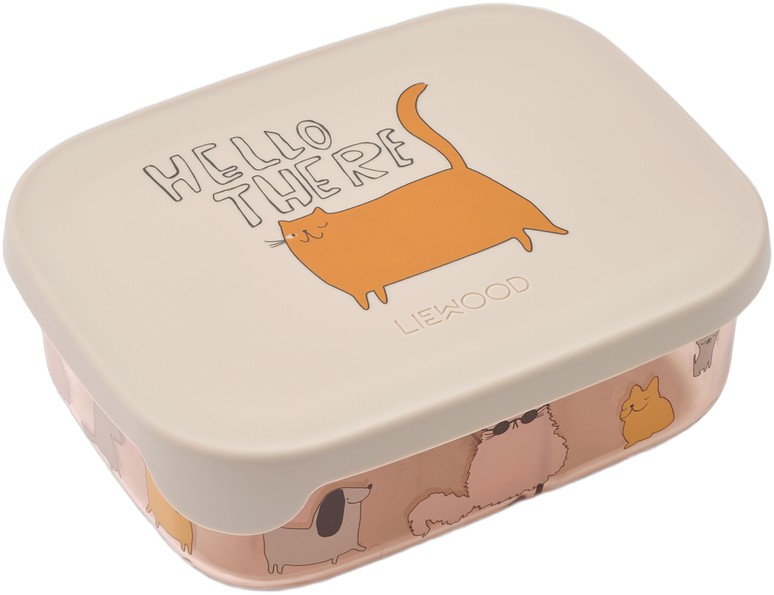 Arthur Tritan Lunchbox