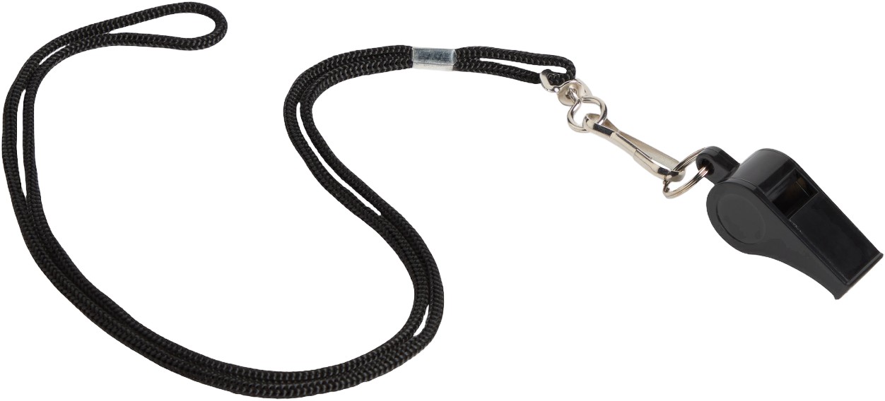 Whistle Fløjte