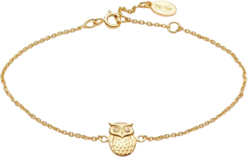 Wisdom Bracelet Vermeil (925 Sterling Silver Gold Plated 2. 5 Micron)