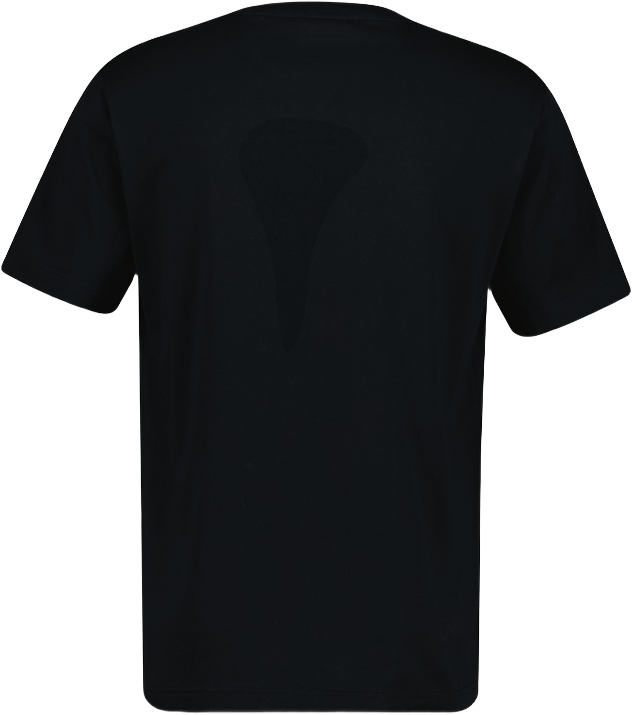 Graphic SS Tshirt