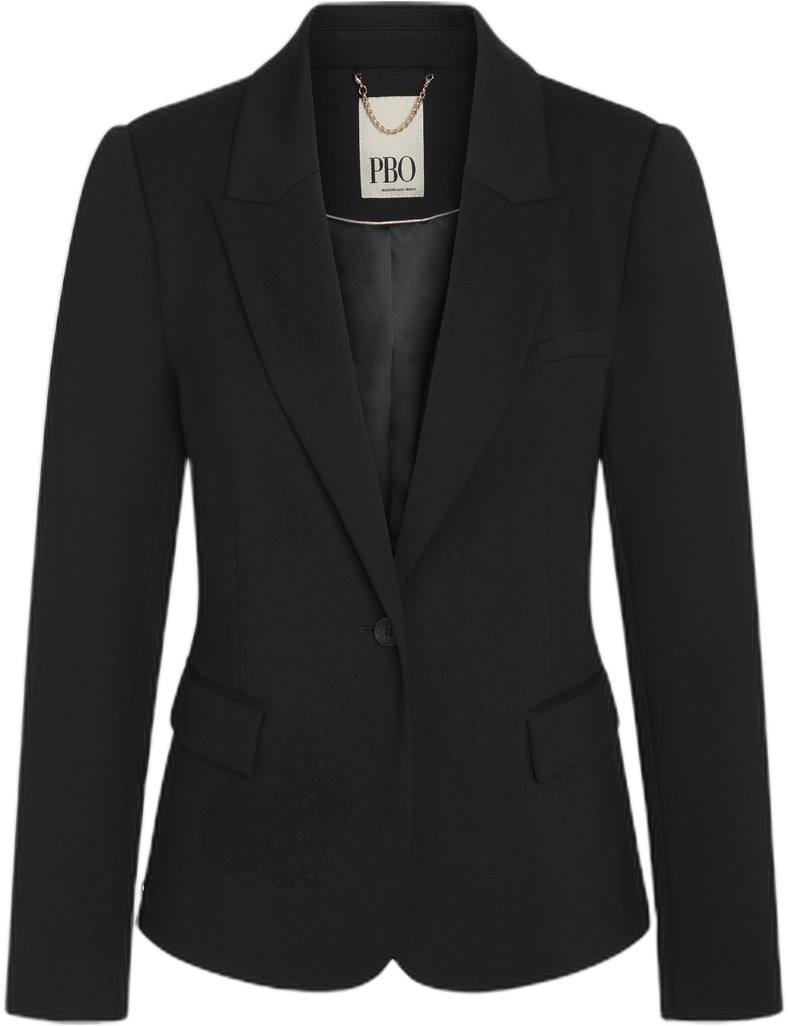 1399pbojoybani Blazer