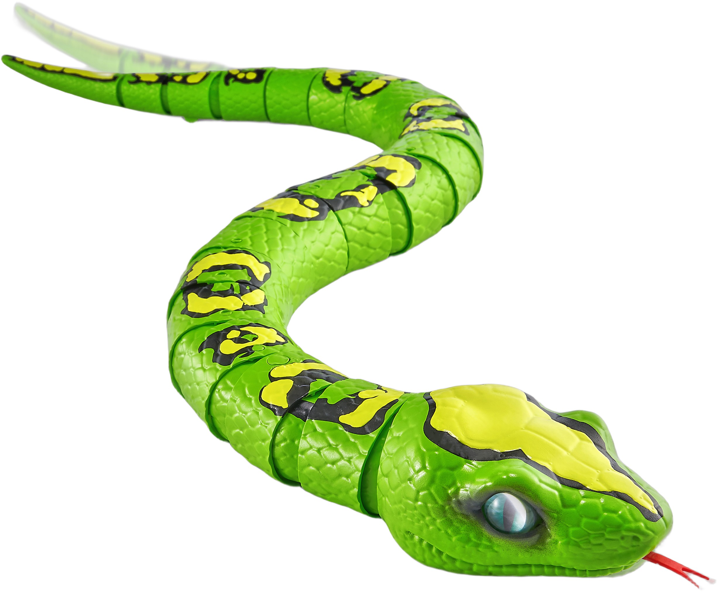 Robo Alive Python