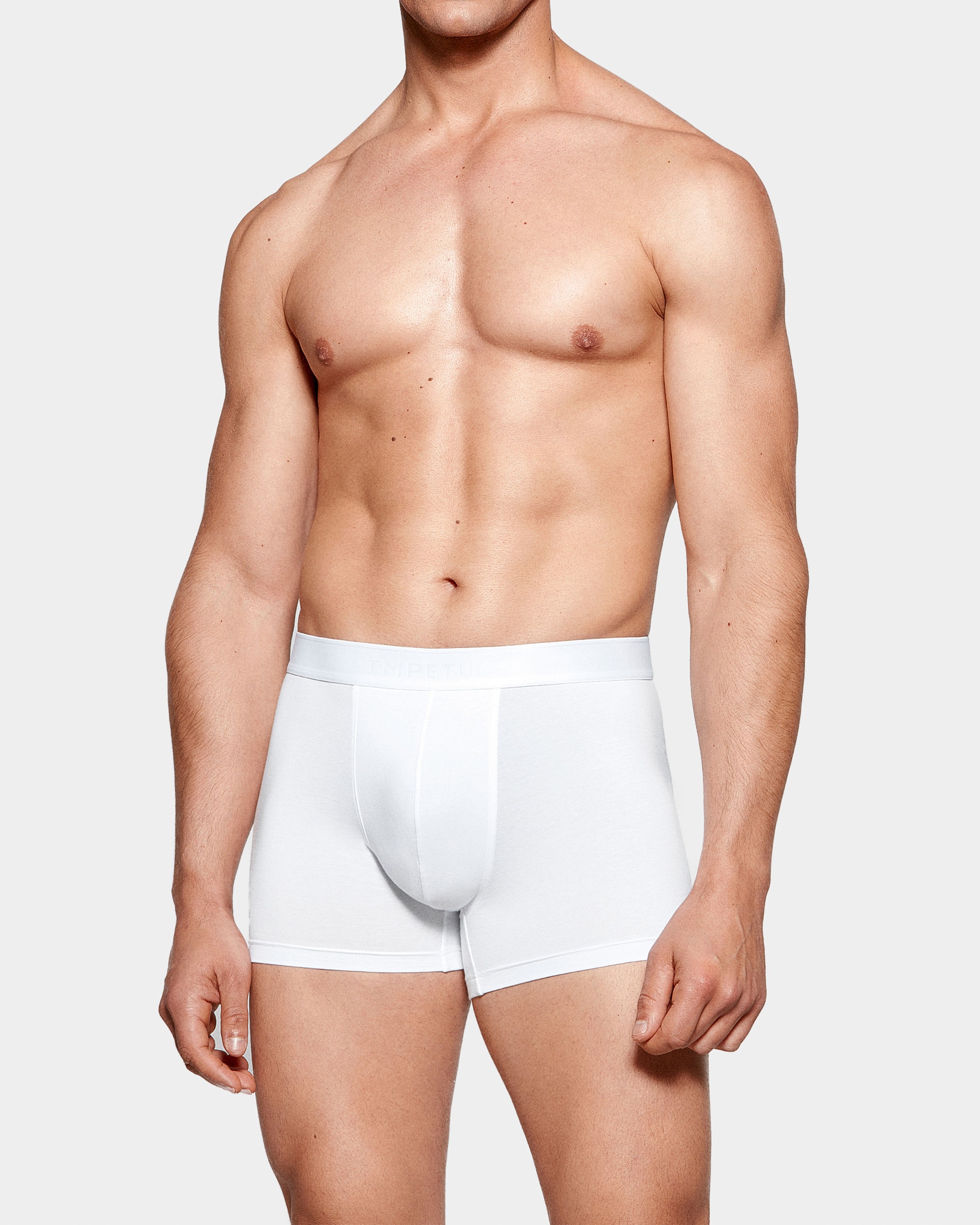 Boxer Executive