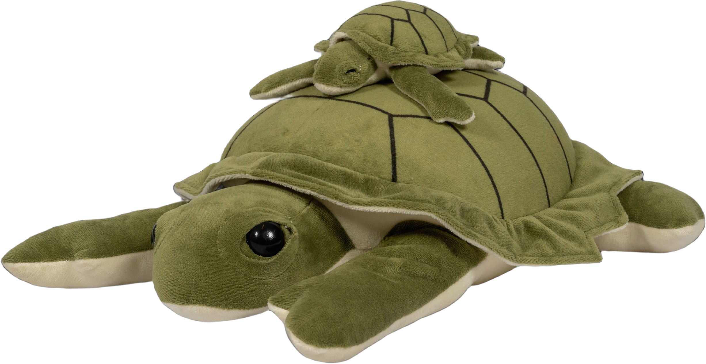 Tyngdedyr Skildpadde, 1,6
