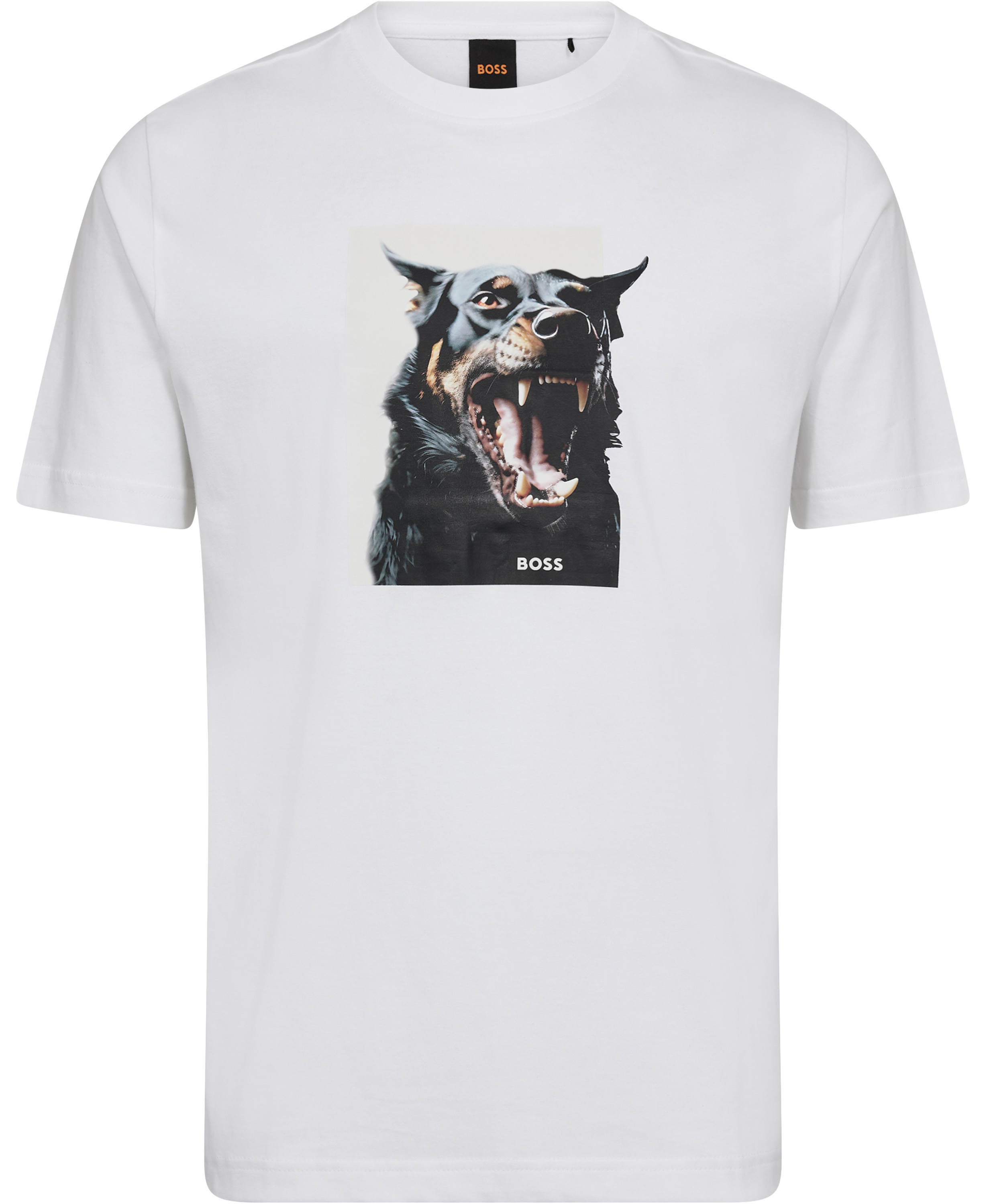 Te_Dobermann
