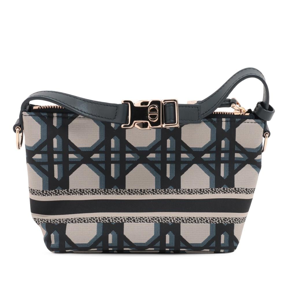 Dior Handbag