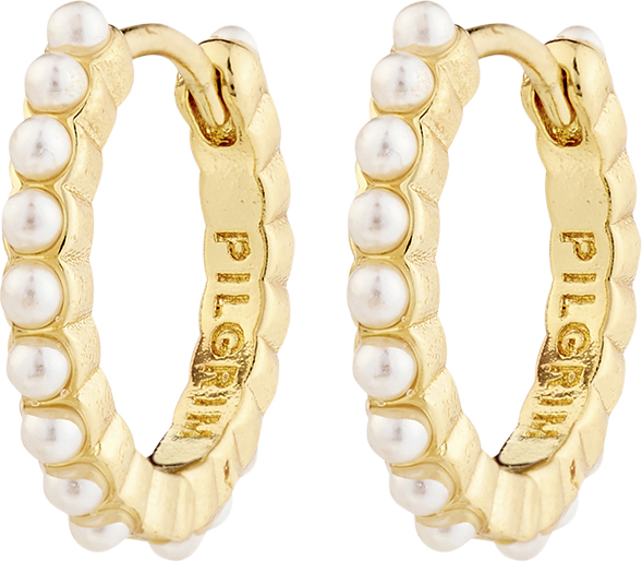 Kalia Hoop Earrings Goldplated - DKK 172 - Spar 25%