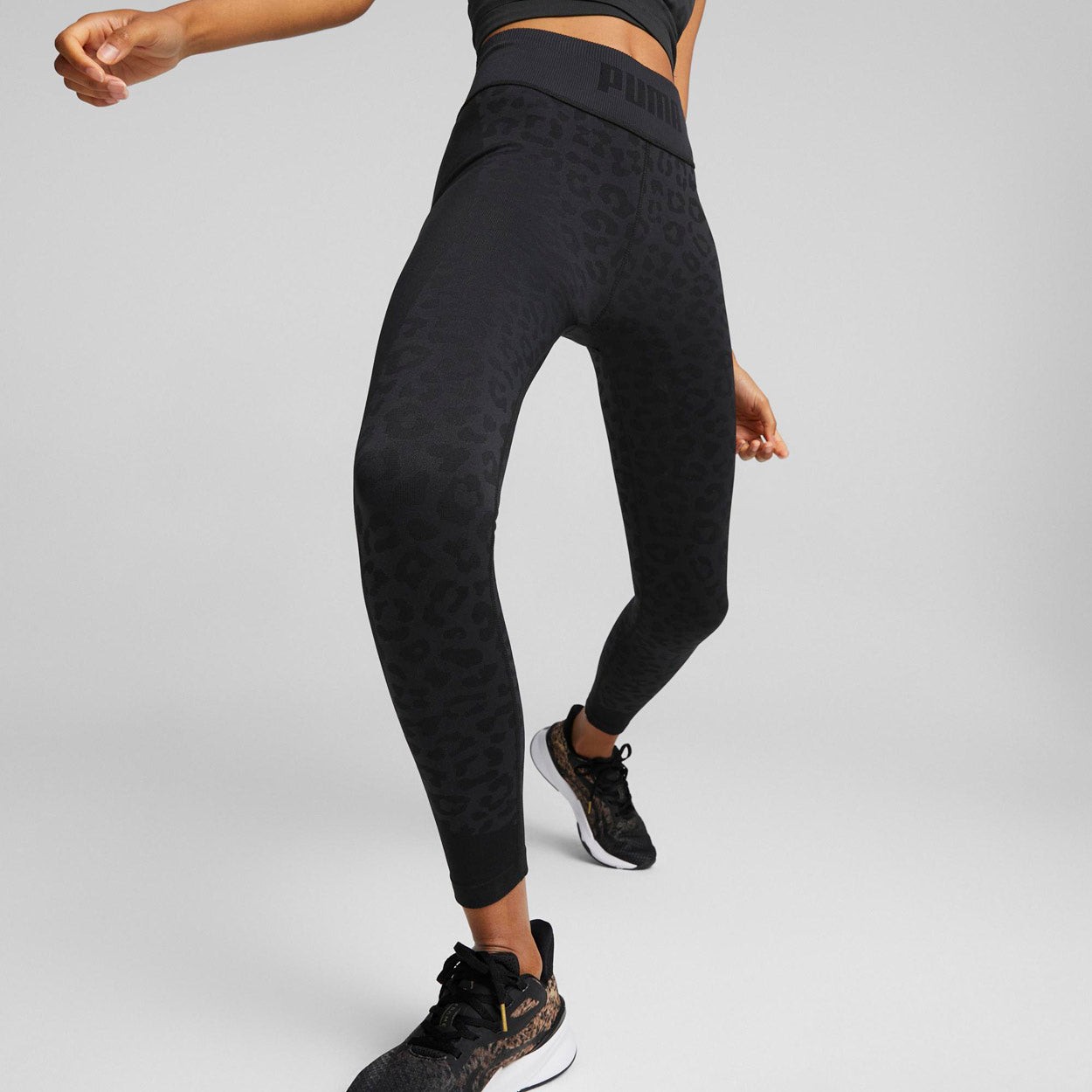 Formknit Seamless High Waist TrÃ¦nings Tights