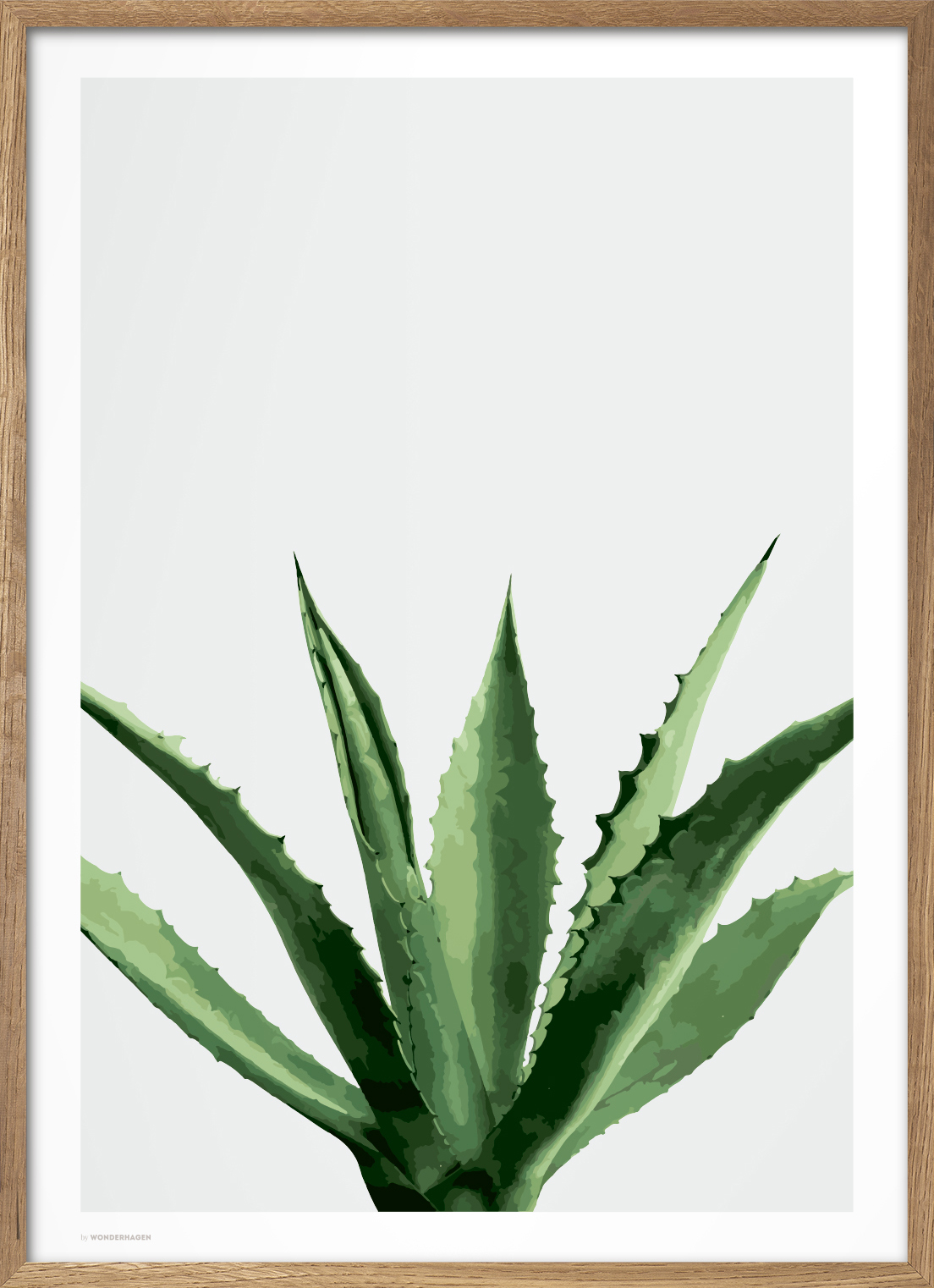 Wonderhagen Agave Plakat