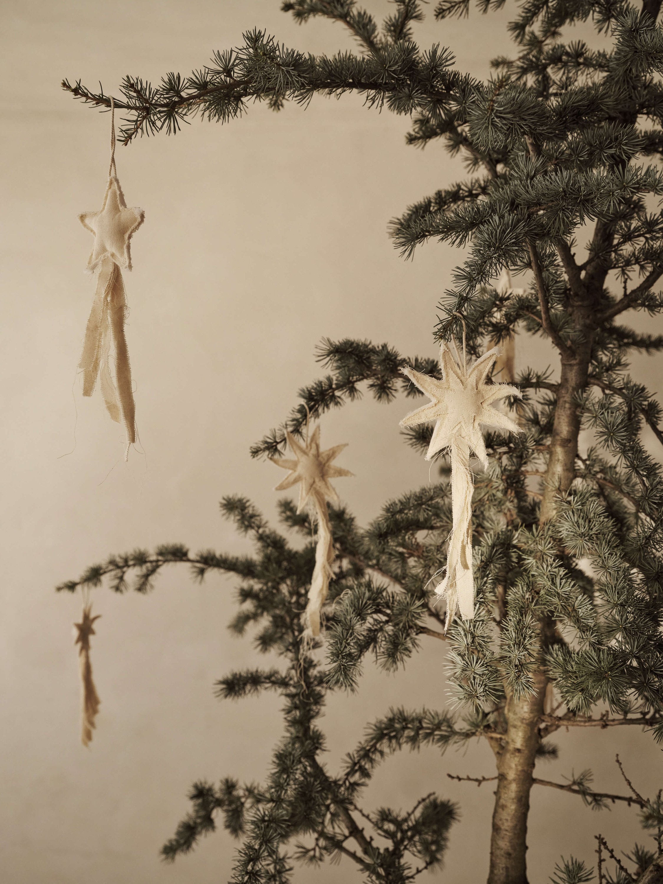 Vela Star Ornaments Set of 4 - Natural