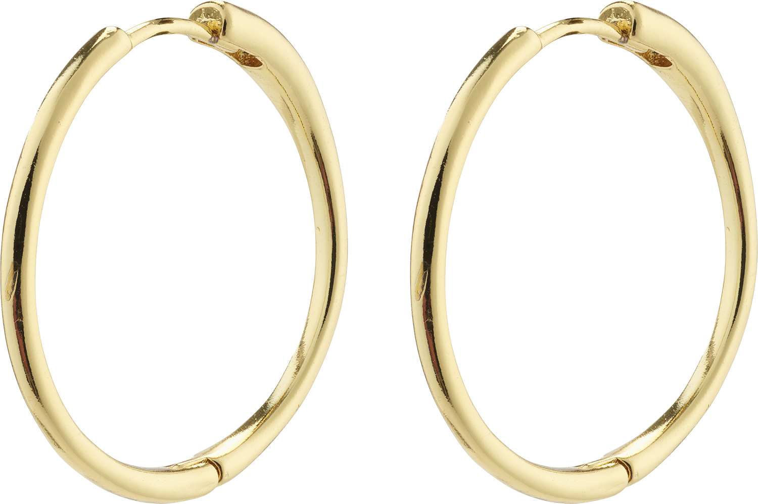 Eanna Large Hoops Goldplated - Køb til DKK 134 - Spar 25%