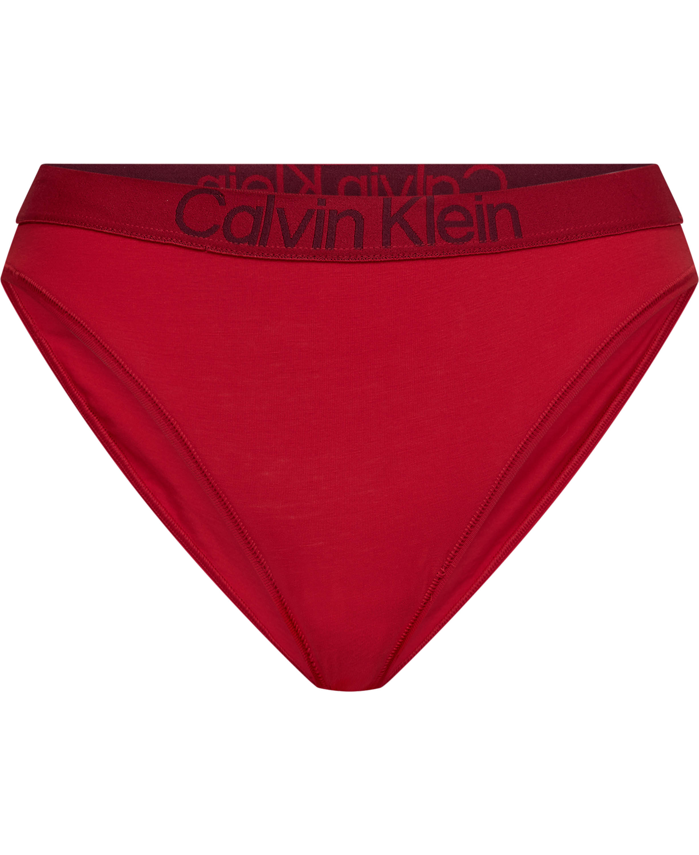 Bikini Briefs