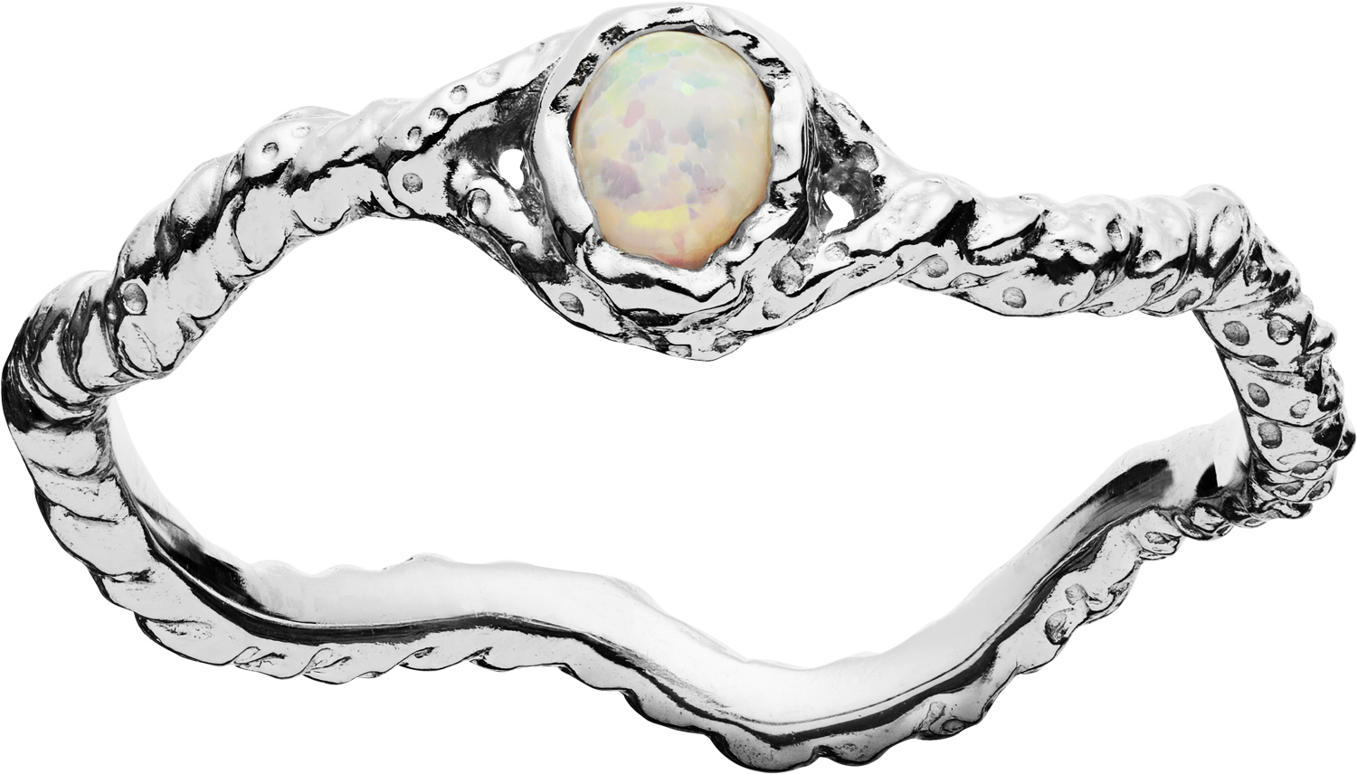 Lisa Ring