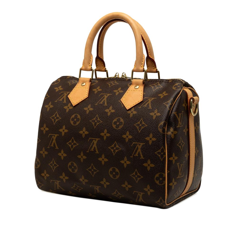 Louis Vuitton Speedy