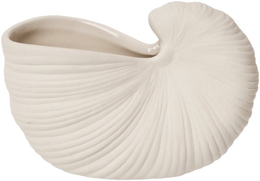 Shell Pot 11 - Off-white