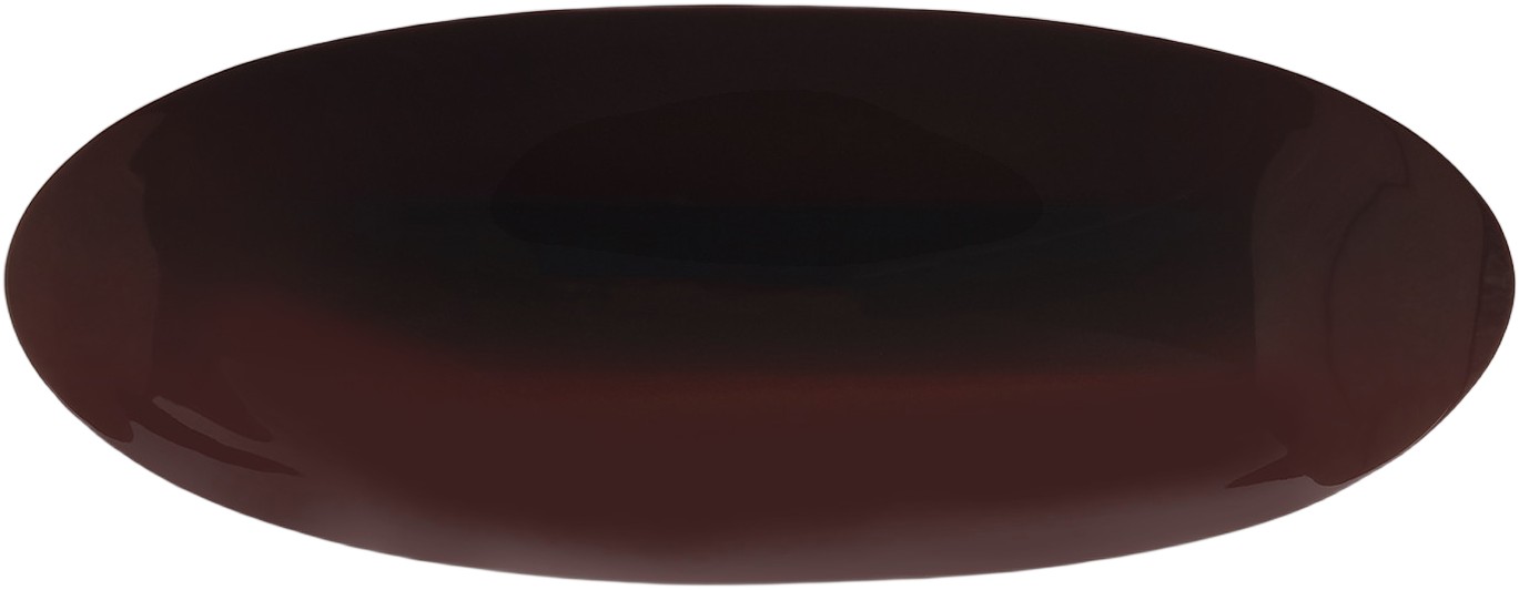 Oval Bone Clip