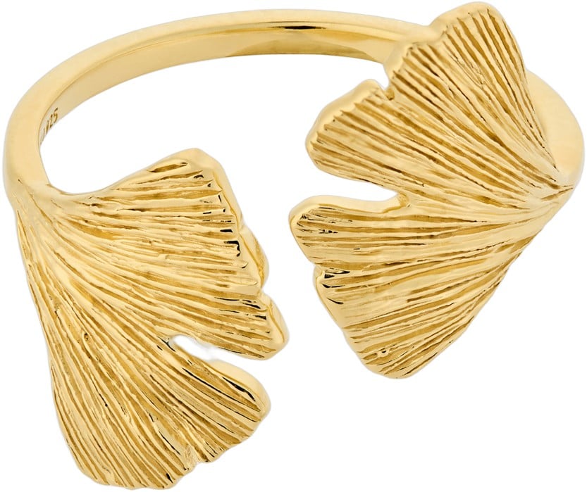 Biloba Ring