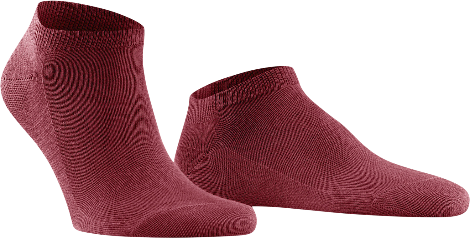 Falke Family SN