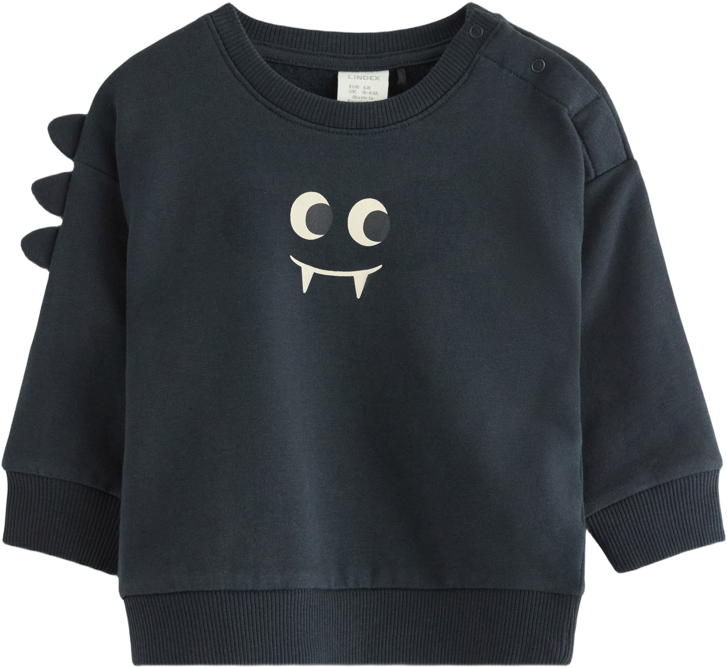 Sweatshirt i Mjuk Bomullstrikå med