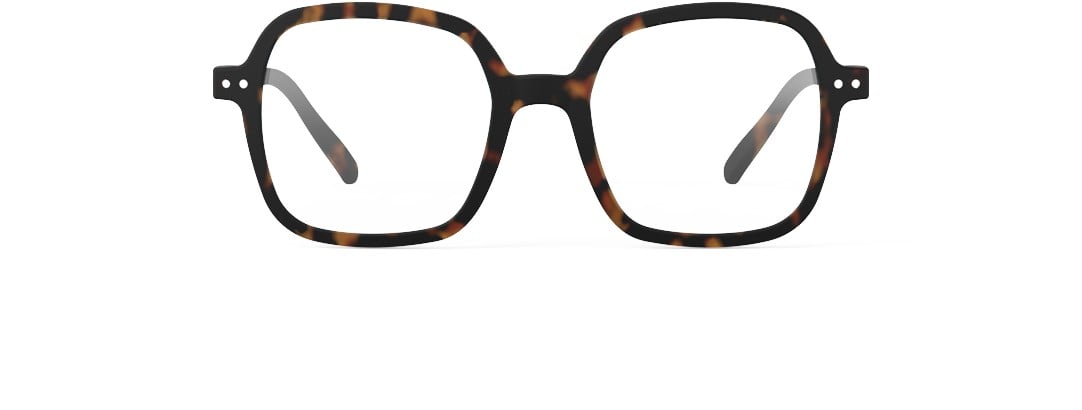 Reading Office Tortoise - DKK 335