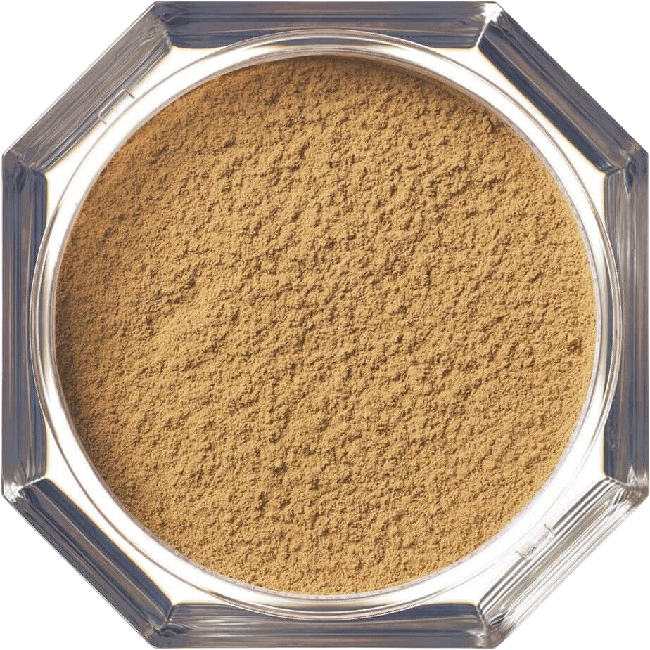 Pro Filt’r Instant Retouch Setting Powder